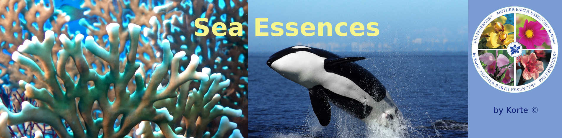 sea essences