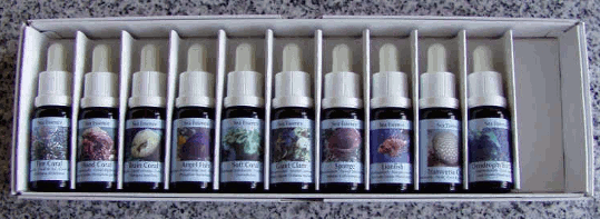 seaessences_Set2